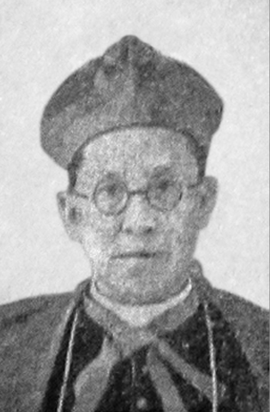 Esai “Albertus Soegijapranata” Kelompok 2